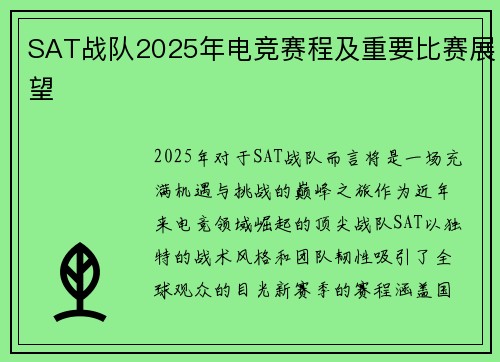 SAT战队2025年电竞赛程及重要比赛展望